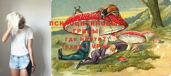 прущие крисы Богородск