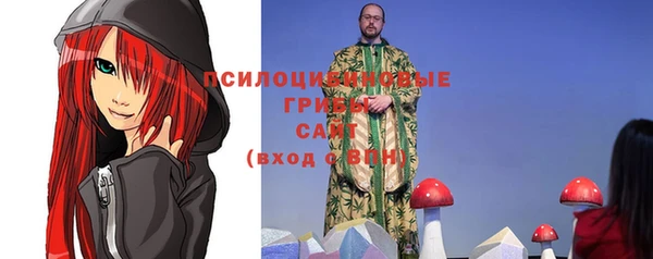 бутират Белокуриха