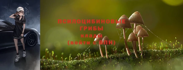 стаф Богородицк