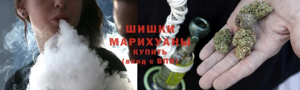 стаф Богородицк
