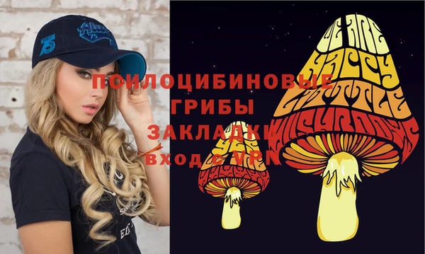 бутират Белокуриха
